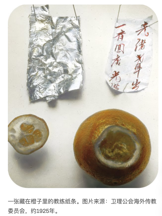 AIISF 所示藏有應答紙條的橘子研究圖像